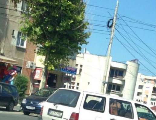 Bravo, mârlane! Te-ai gândit mult când ai înghesuit poneiul în maşină?